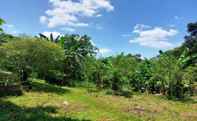 Fazenda à venda com 3 quartos, 11000m² - Foto 7