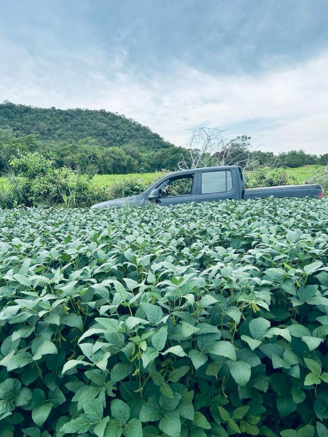 Fazenda à venda, 1m² - Foto 1
