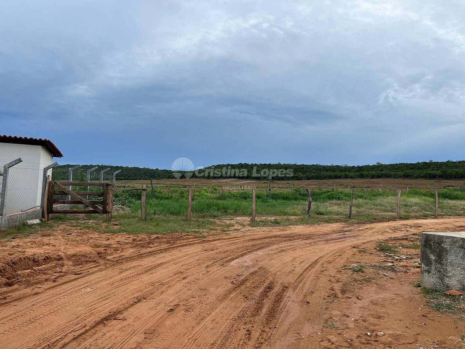 Fazenda-Sítio-Chácara, 5 hectares - Foto 1