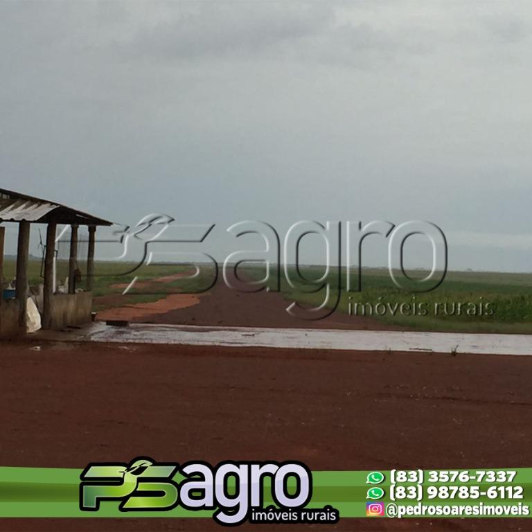 Fazenda-Sítio-Chácara, 18600 hectares - Foto 4