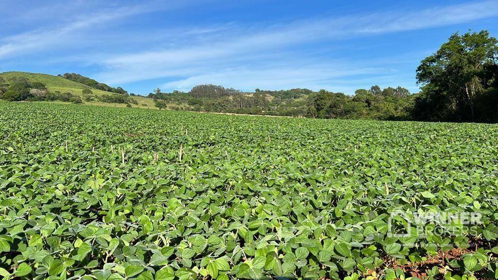 Terreno, 58 hectares - Foto 1