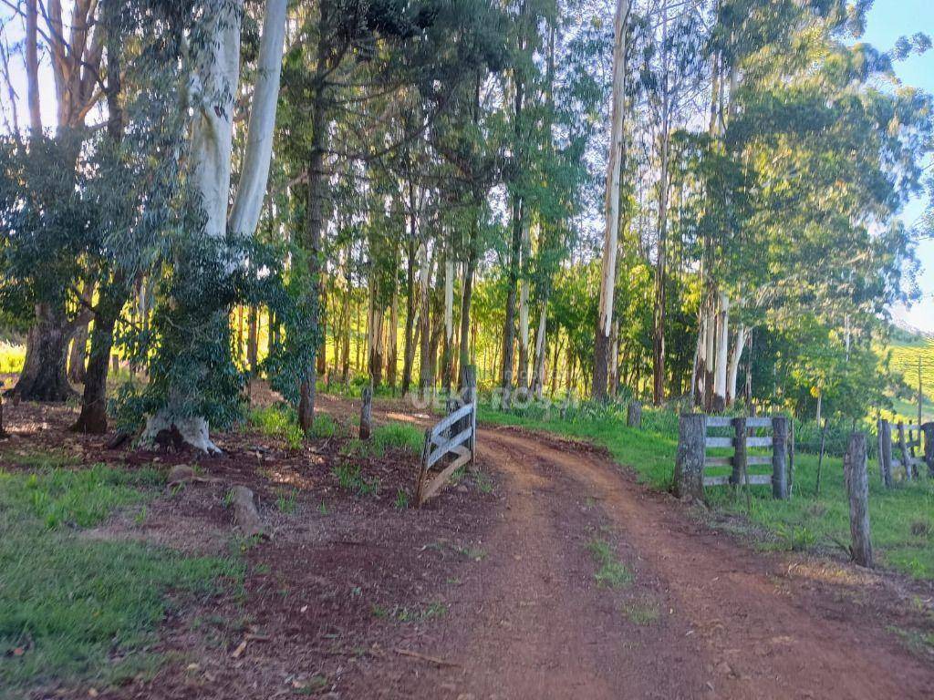 Fazenda, 528 hectares - Foto 1