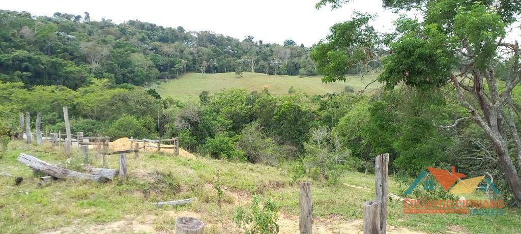 Terreno à venda, 31000M2 - Foto 10