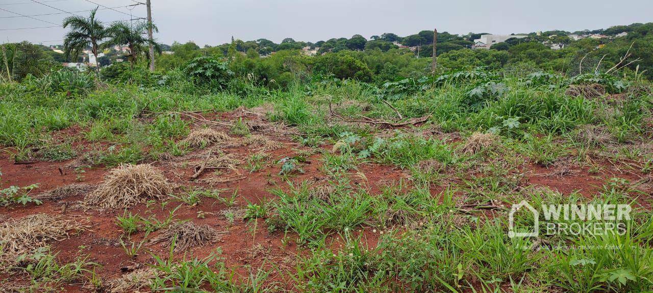 Chácara à venda com 1 quarto, 150000M2 - Foto 4