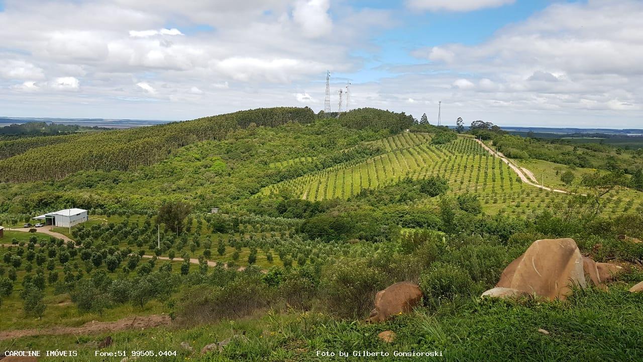 Fazenda à venda com 6 quartos, 493400m² - Foto 2