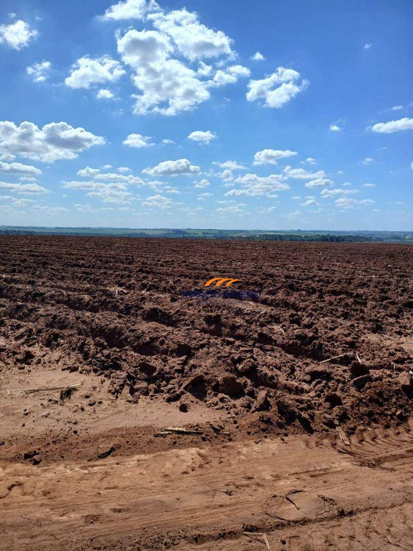 Sítio, 75 hectares - Foto 1