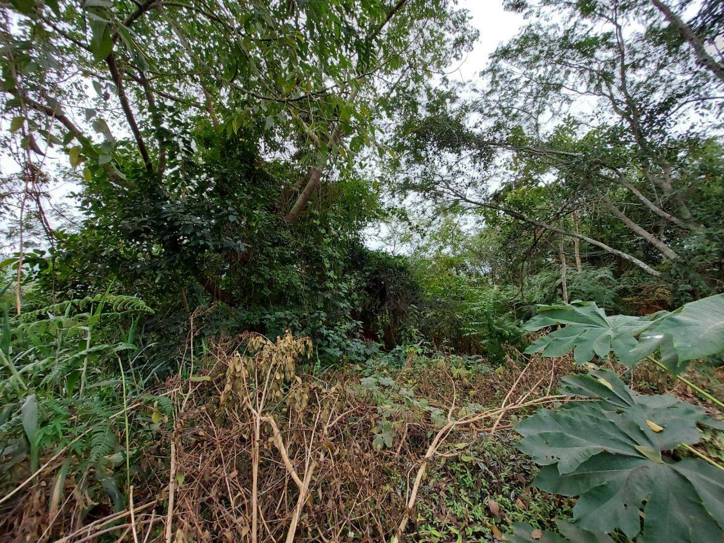 Loteamento e Condomínio à venda, 825M2 - Foto 4