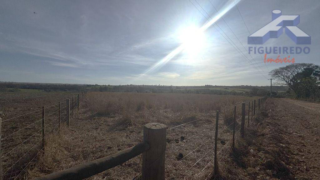 Sítio, 7 hectares - Foto 15