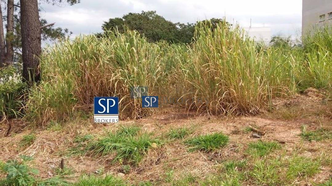 Terreno, 2514 m² - Foto 2