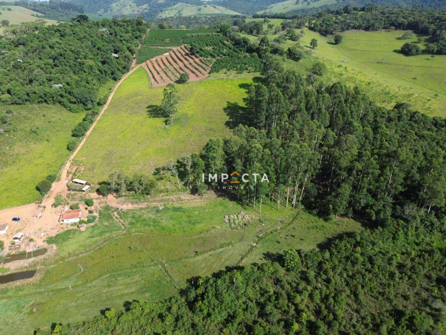 Sítio à venda com 2 quartos, 75000M2 - Foto 11