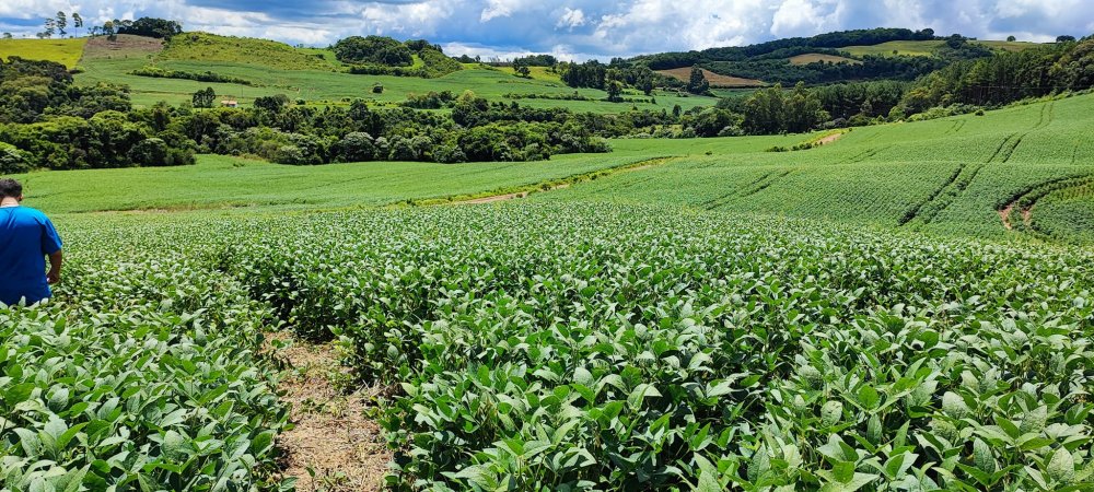 Fazenda à venda, 52m² - Foto 10