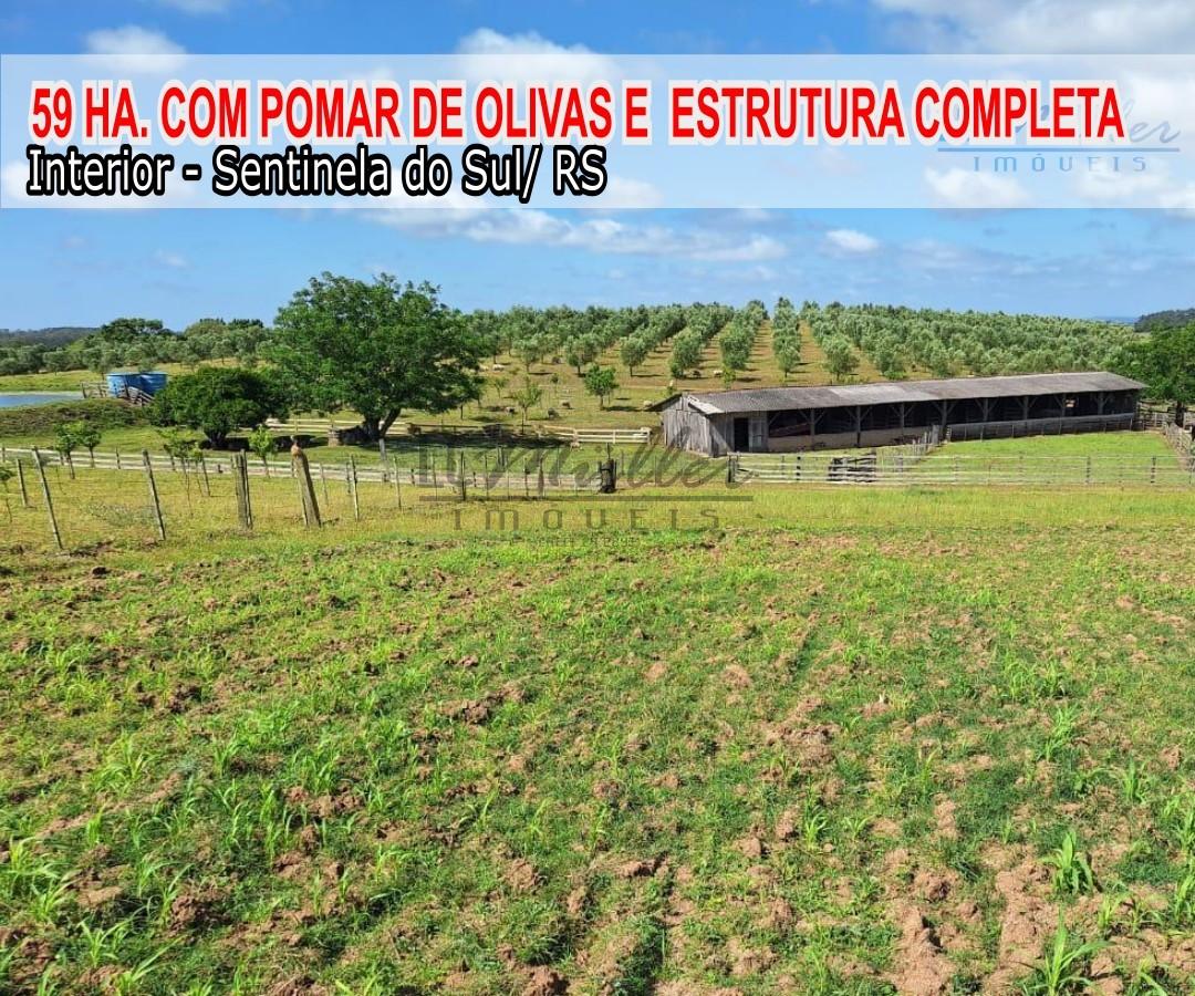 Fazenda à venda, 59m² - Foto 1