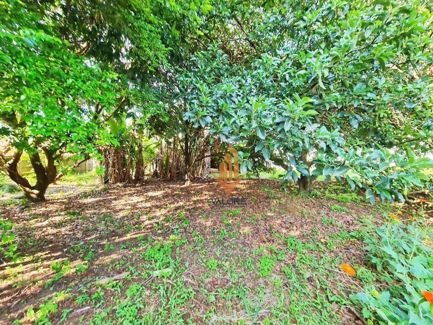 Terreno, 1287 m² - Foto 12