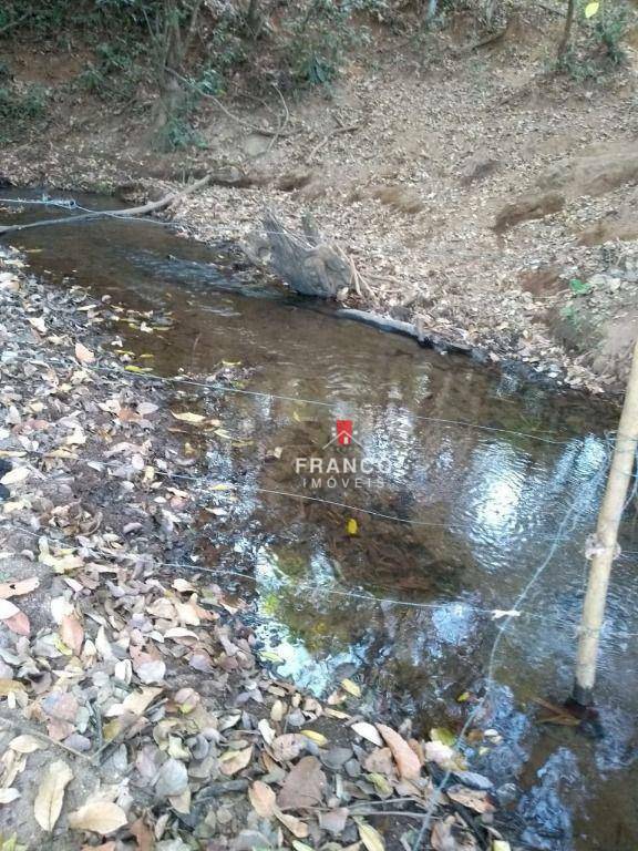 Fazenda à venda com 4 quartos, 126m² - Foto 14