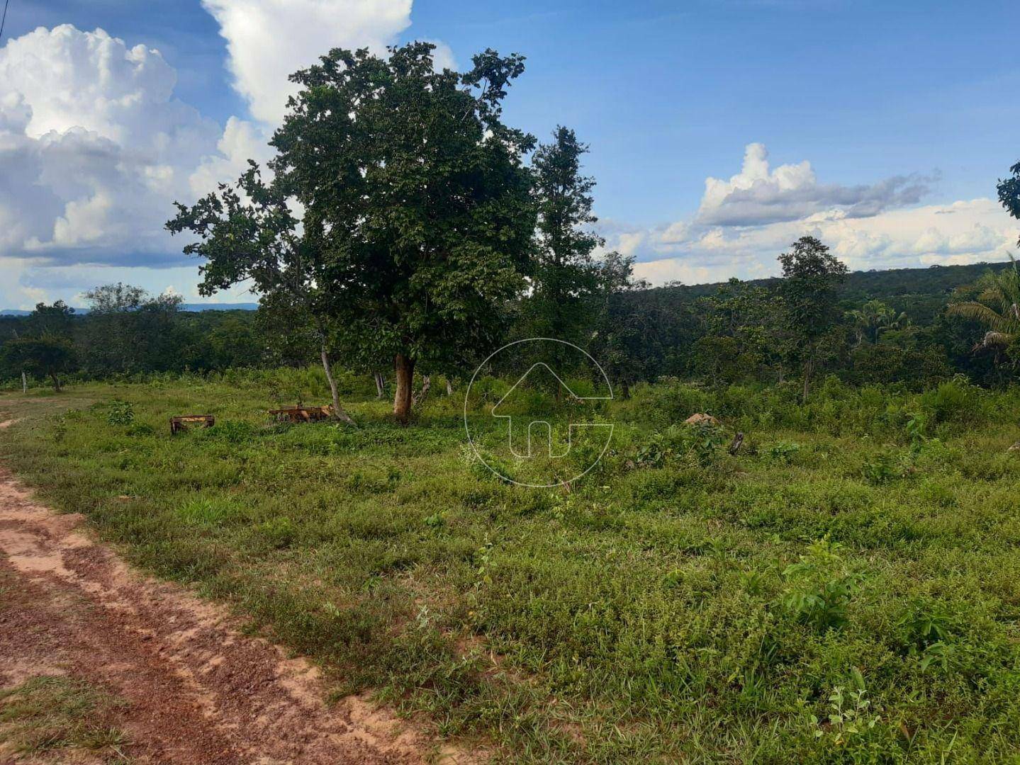 Fazenda à venda, 726000M2 - Foto 3