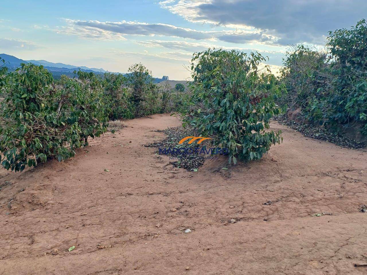 Fazenda-Sítio-Chácara, 53 hectares - Foto 3