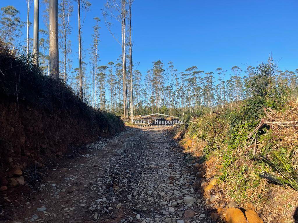 Terreno, 30 hectares - Foto 11