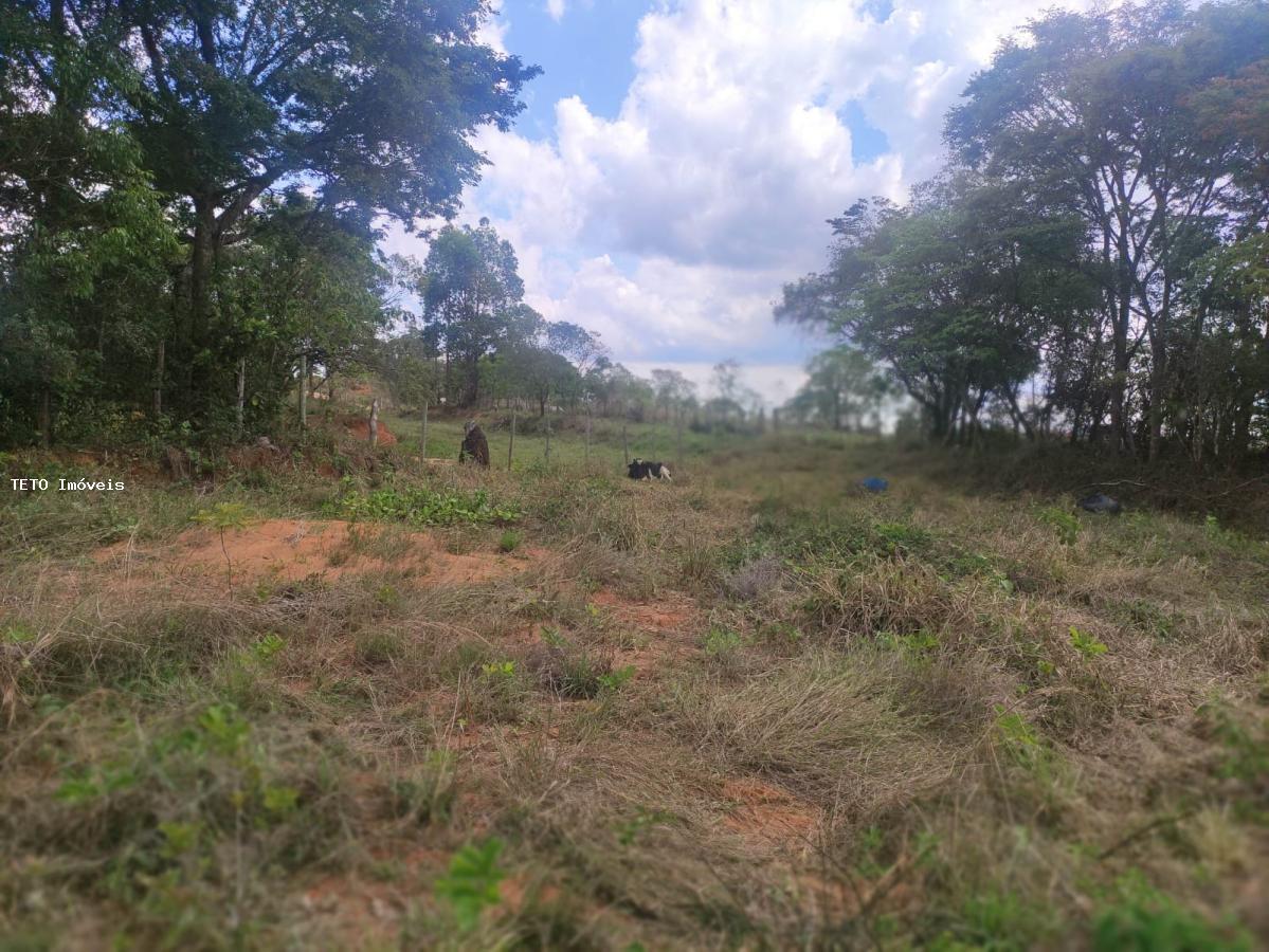 Terreno à venda, 3000m² - Foto 4