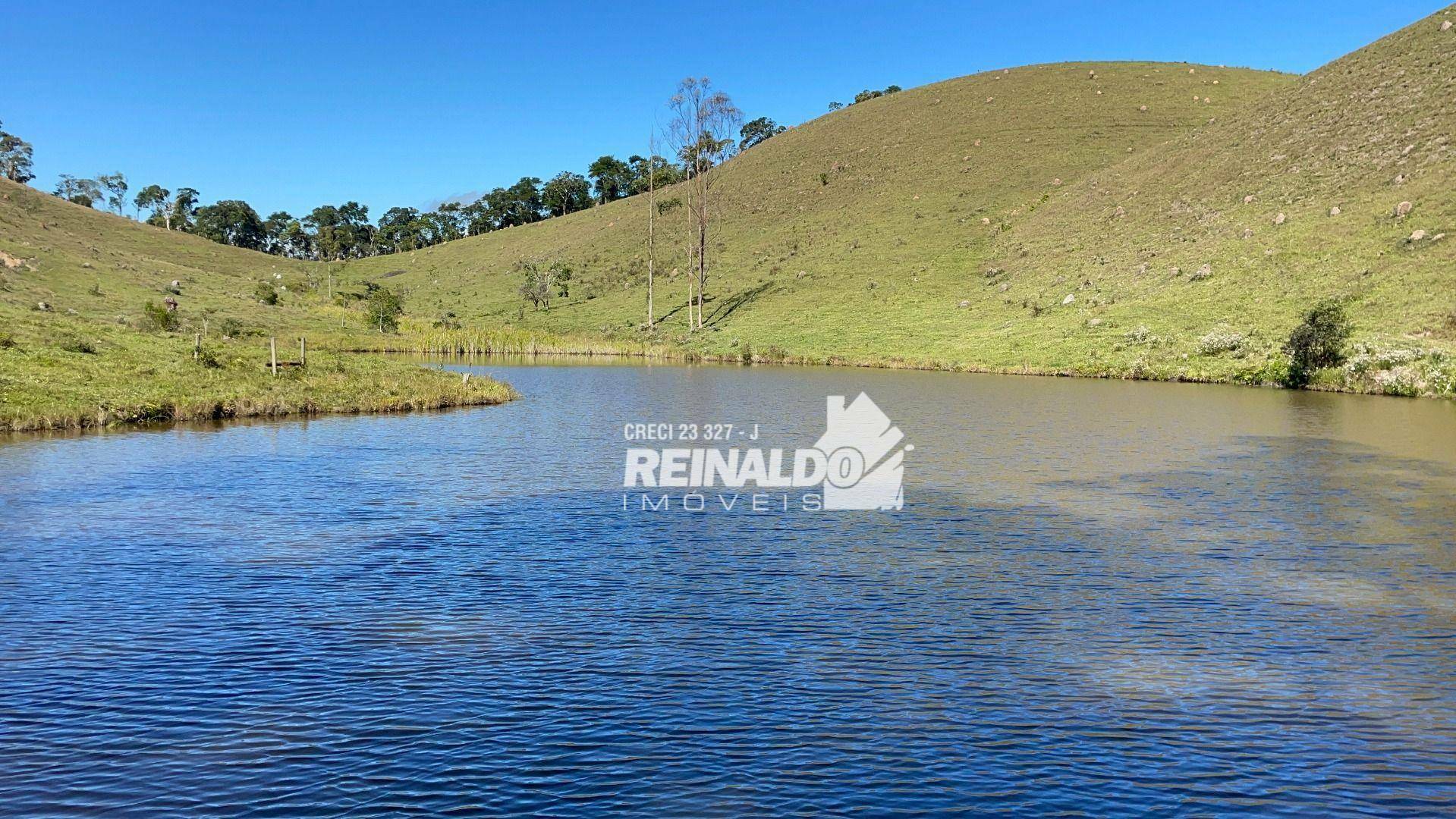 Fazenda à venda com 8 quartos, 900m² - Foto 8