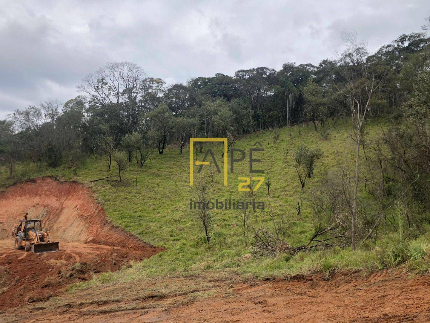 Terreno, 8 hectares - Foto 3