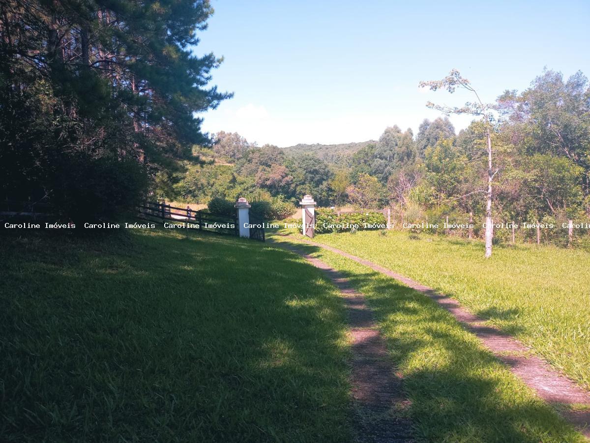 Fazenda à venda com 7 quartos, 800000m² - Foto 8