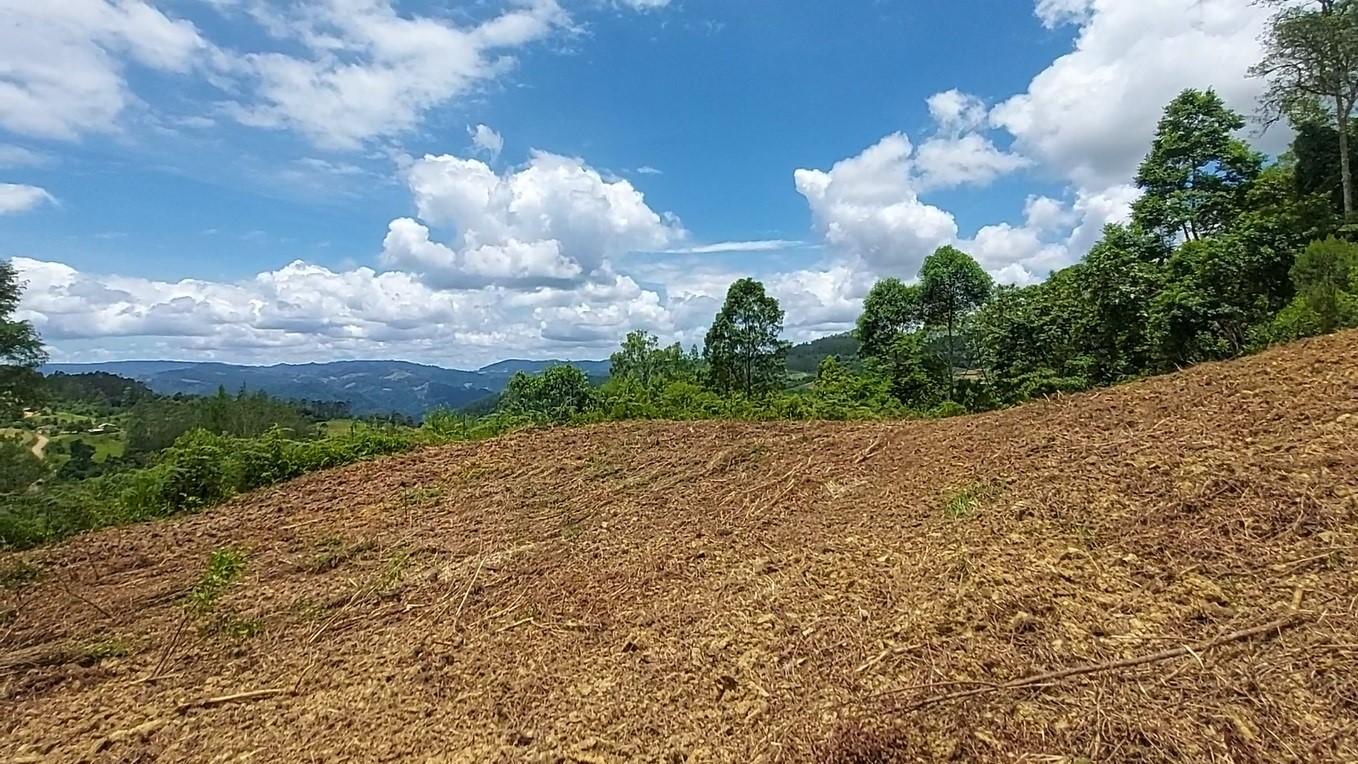 Fazenda à venda com 8 quartos, 120000m² - Foto 50