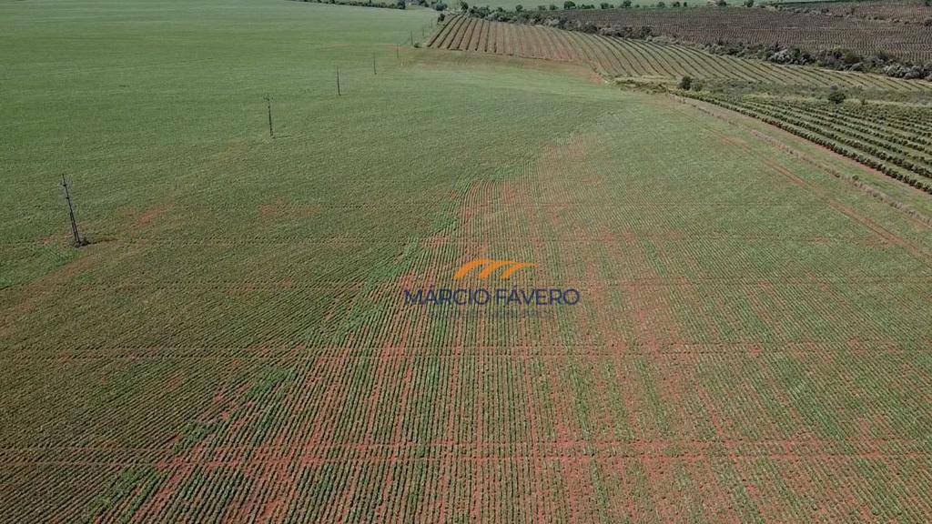 Fazenda à venda, 1210000M2 - Foto 14