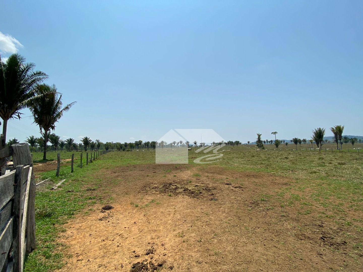 Fazenda à venda com 3 quartos, 2420000M2 - Foto 17