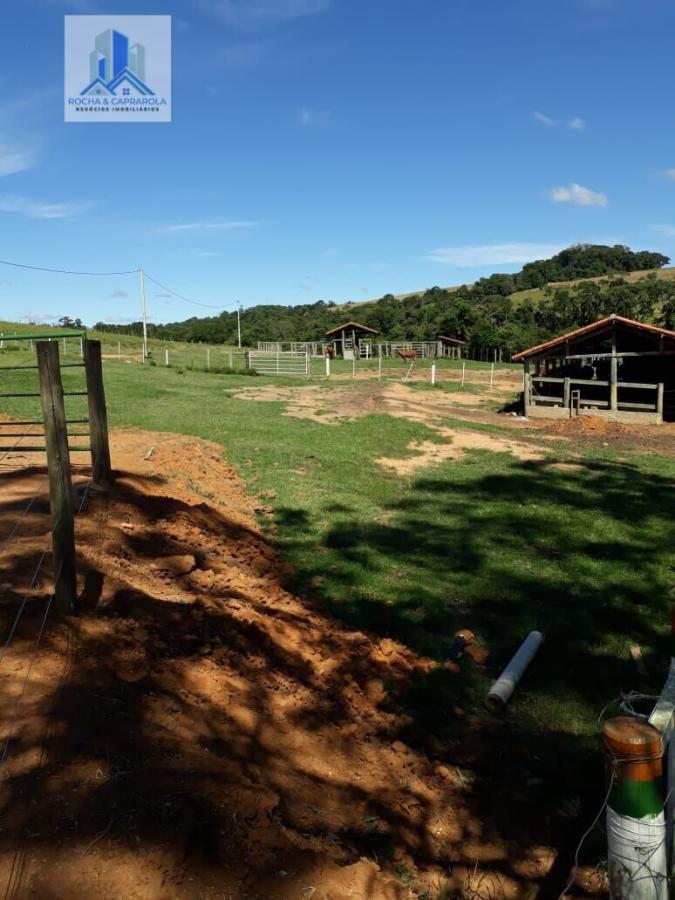 Fazenda à venda com 2 quartos, 3218600m² - Foto 12