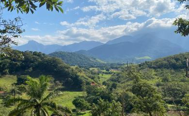 Fazenda à venda com 2 quartos, 50000m² - Foto 7