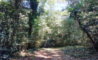 Fazenda à venda com 3 quartos, 160000m² - Foto 21