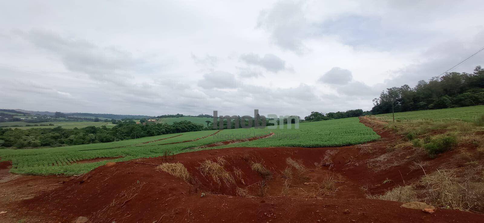 Sítio à venda com 3 quartos, 100m² - Foto 12