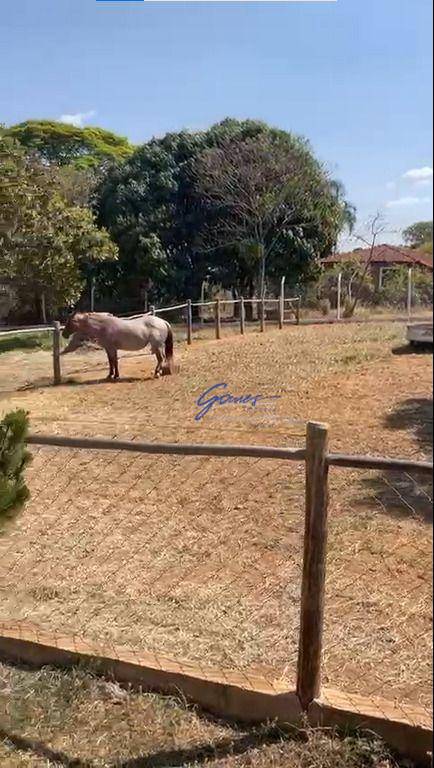 Chácara, 3 quartos, 5000 m² - Foto 32