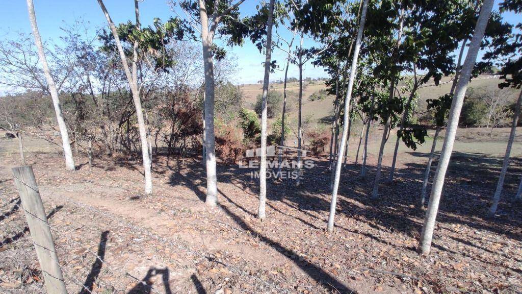 Sítio, 9 quartos, 2 hectares - Foto 73