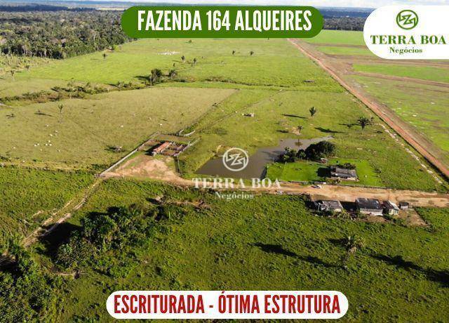 Fazenda-Sítio-Chácara, 397 hectares - Foto 1