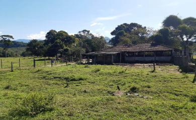 Fazenda à venda com 2 quartos, 270000m² - Foto 1