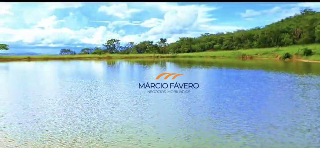 Fazenda-Sítio-Chácara, 980 hectares - Foto 14