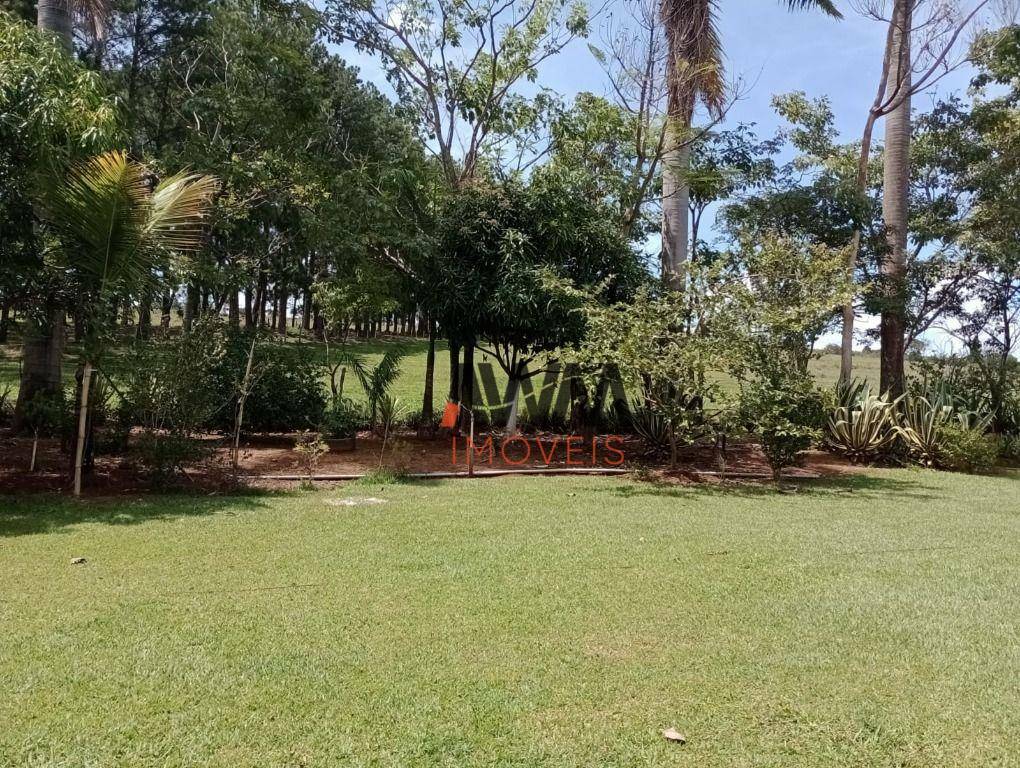 Fazenda à venda com 4 quartos, 820000M2 - Foto 15