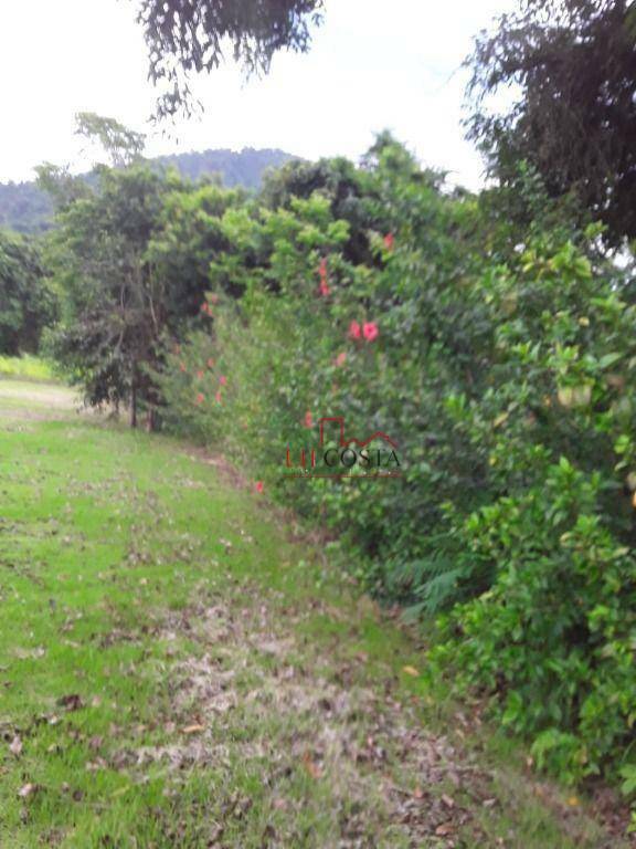 Loteamento e Condomínio, 408 m² - Foto 4