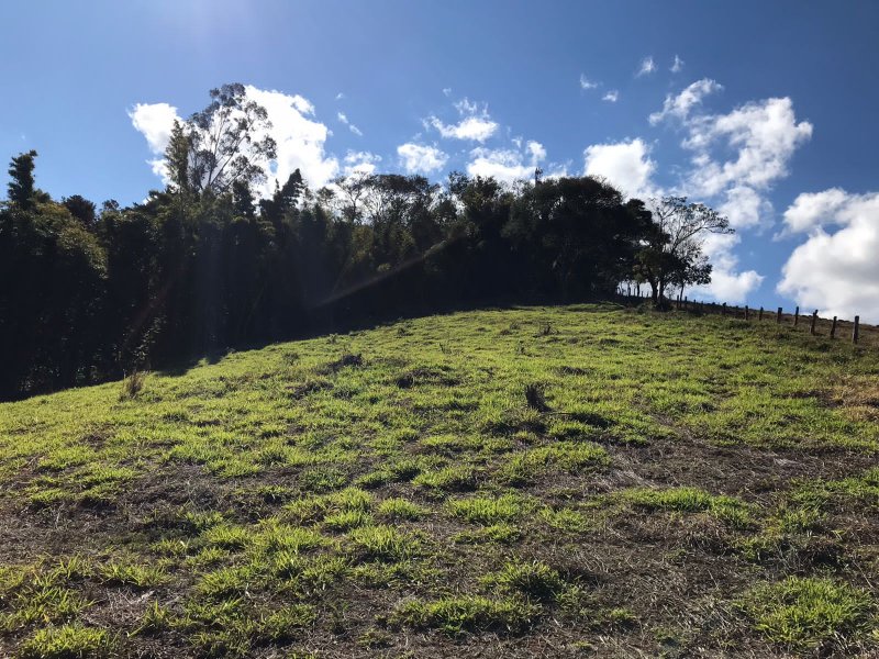 Fazenda à venda com 2 quartos, 80m² - Foto 8