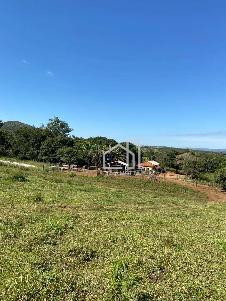 Fazenda à venda com 3 quartos, 21217700000M2 - Foto 8