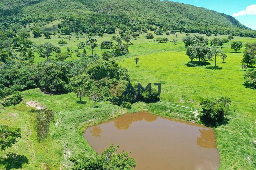 Fazenda à venda com 6 quartos, 500m² - Foto 5