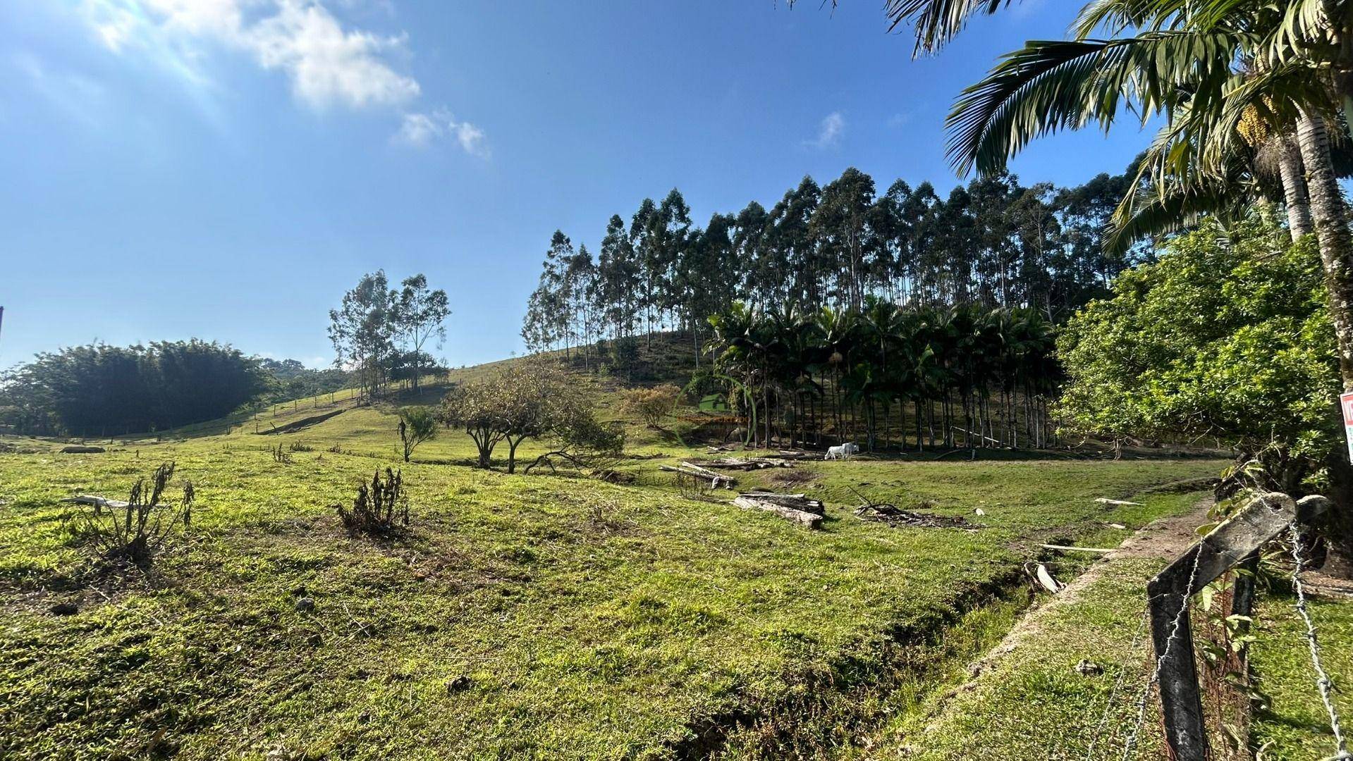 Sítio, 10000 m² - Foto 26