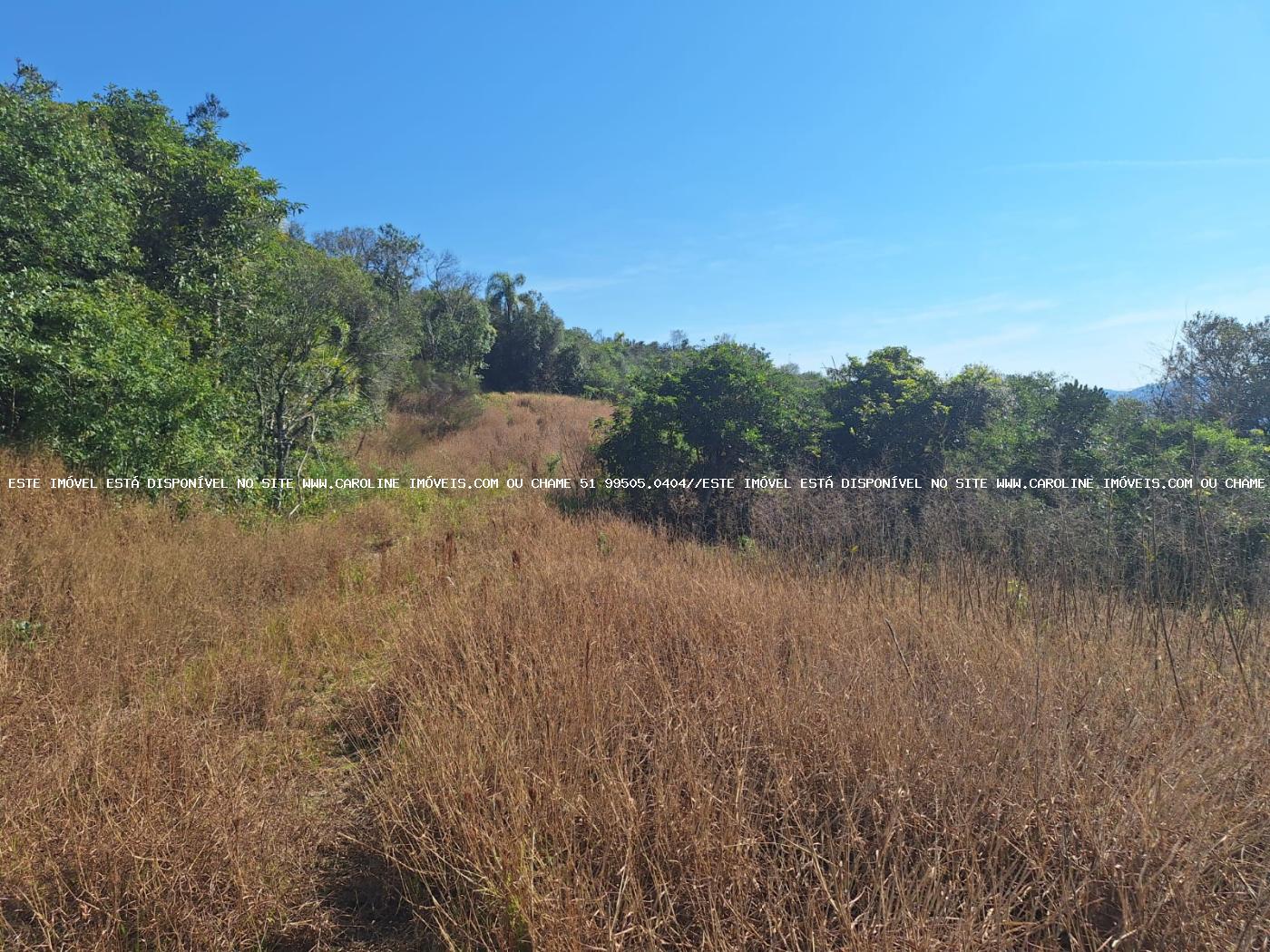 Loteamento e Condomínio à venda, 50000m² - Foto 3