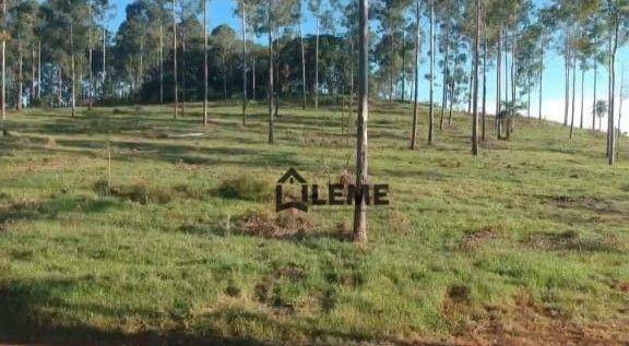 Fazenda à venda, 1258400M2 - Foto 17
