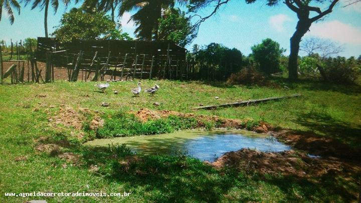 Fazenda à venda com 3 quartos, 170m² - Foto 10