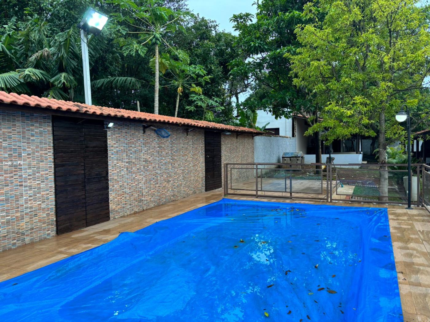 Fazenda à venda com 3 quartos, 1000m² - Foto 8