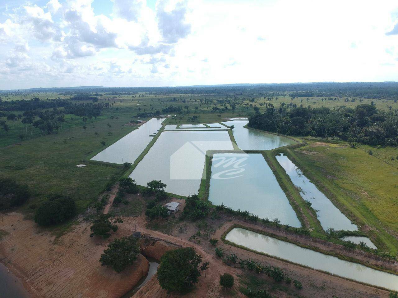 Chácara à venda com 3 quartos, 150m² - Foto 8