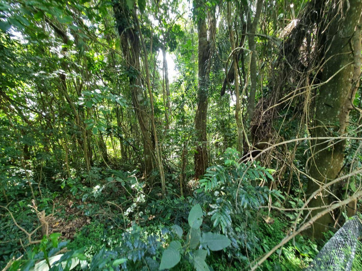 Loteamento e Condomínio à venda, 540M2 - Foto 10