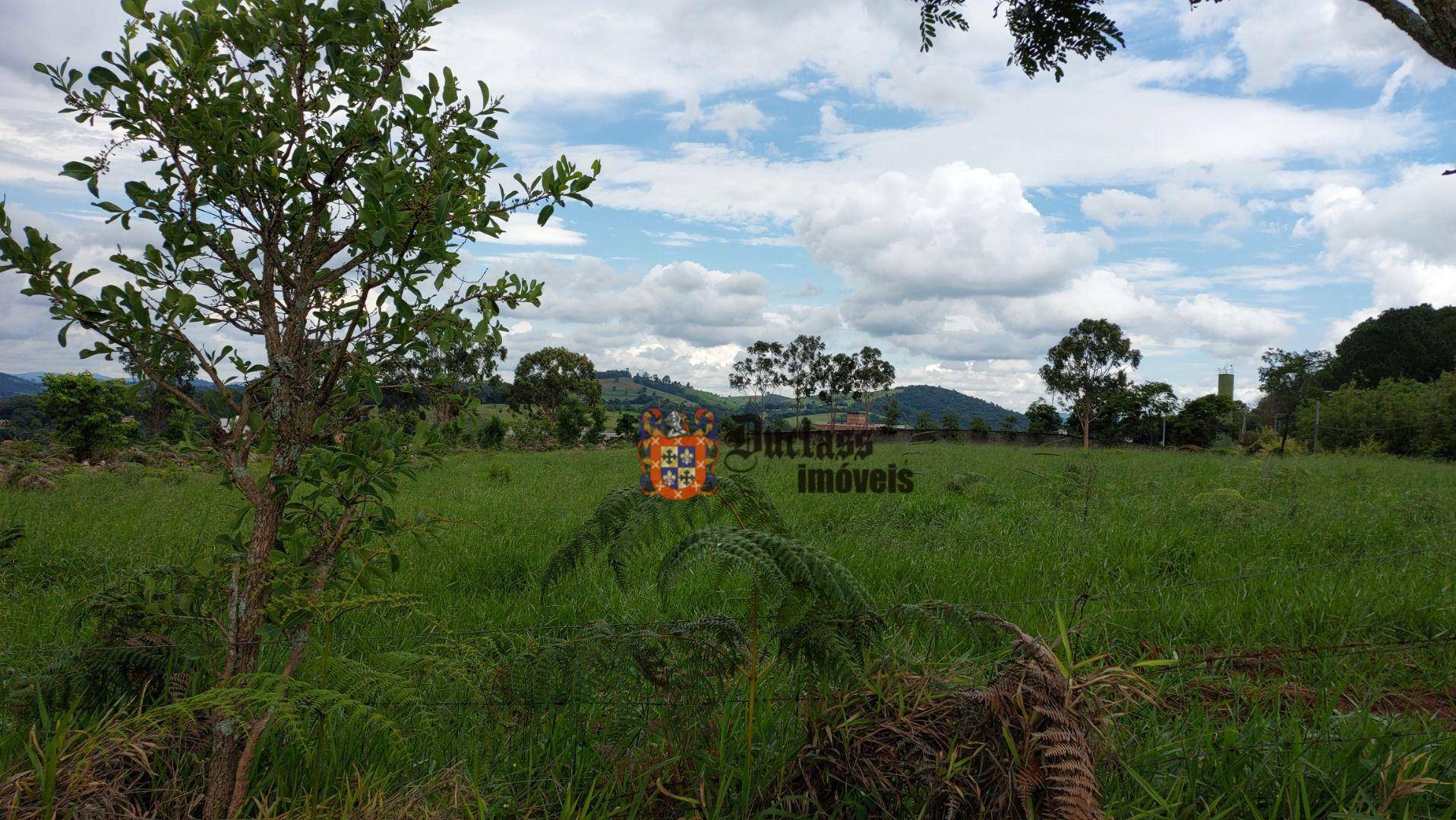 Terreno à venda, 60000M2 - Foto 1